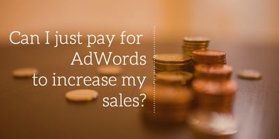 Can I just pay for adwords to increase my sales?