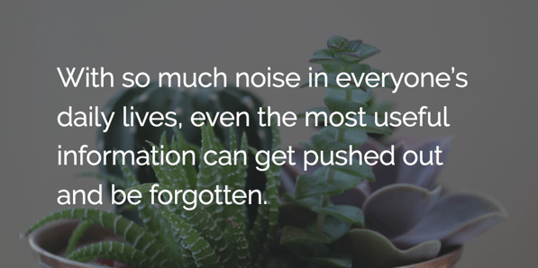 everyday-noise.png